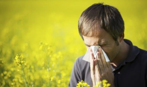 allergie primaverili