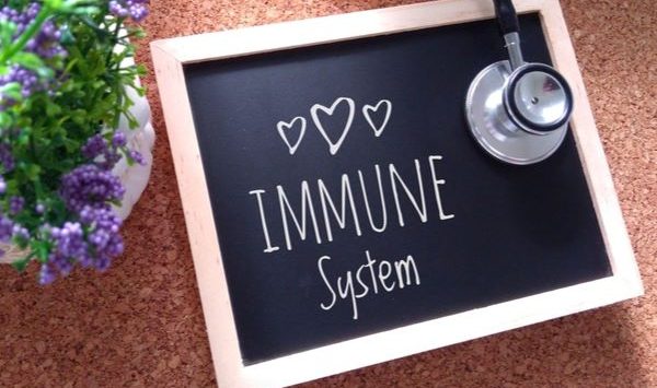 paura sistema immunitario
